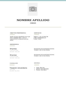 template cv basico turiconsejos curriculum vitae basico