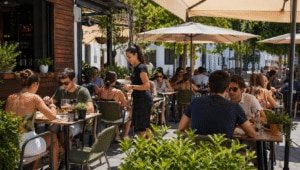 legislacion-terrazas